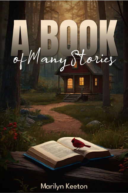 Book 3